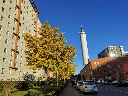 Recruitment Announcement for Scientific Research Finance Assistant at ICTP-AP, UCAS